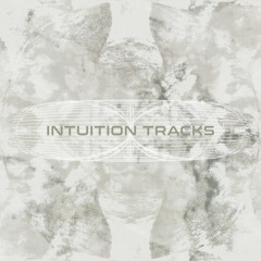 Intuition Tracks
