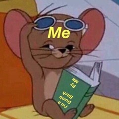 LIL SLOSHED X PRINCESS ALGEBRA - DUMB BITCH DISEASE