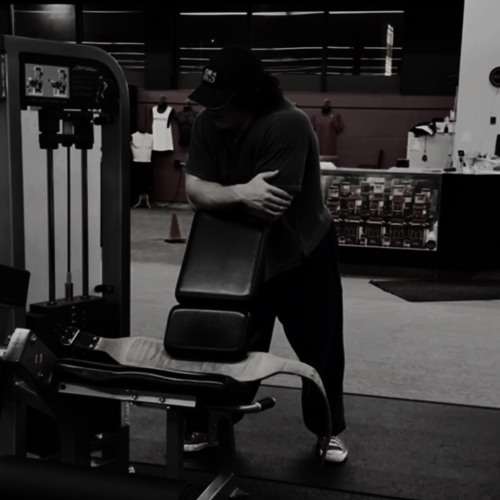im gonna do arms, same as normal | longest version | sam sulek quotes |