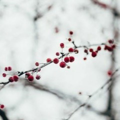 Anu' ăsta mai vine Moș Crăciun?