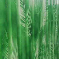 Indian Jungle
