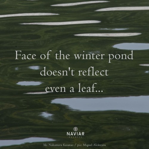 Winter Pond - (naviarhaiku540)