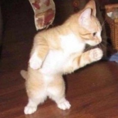 i remixed that one banger sisyphus part but i couldnt trancribe so i put the og song over it