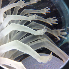 .#mayclips23.(@maglvxx)