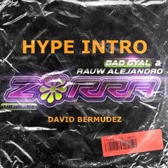 Bad Gyal Ft. Rauw Alejandro - Zorra Remix (DAVID BERMÚDEZ Hype Intro) 93 BPM | COPYRIGHT