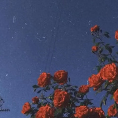 Bruno Mars - Talking To The Moon (slowed + reverb)