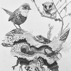 Chuk@w - Plumas Tostadas