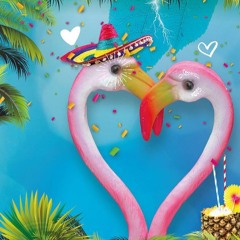 Soft Summer Dancing - Episode 49 - Juillet 2024 @denis_c.dj