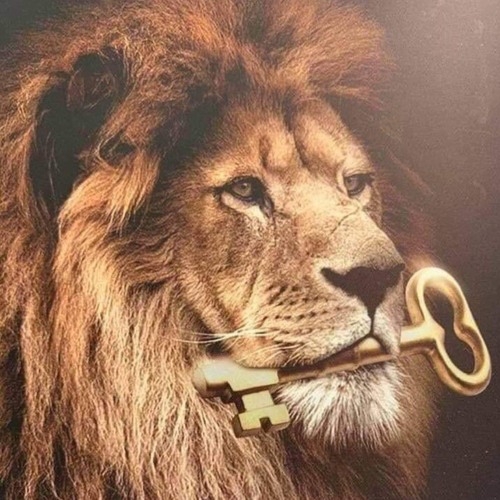 ها أنا آتي سريعًا - خدمة السماء على الأرض - مصر