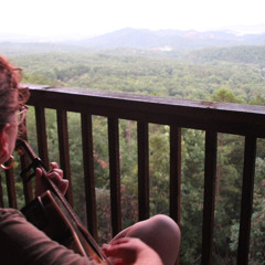 Buckskin Stallion Blues