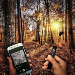 fall ♡ _ ♡