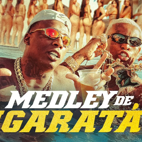 MEDLEY DE IGARATÁ 5 - MC Negão Original e MC IG (Oficial) DJ Guh Mix, DJ Glenner e DJ Oreia