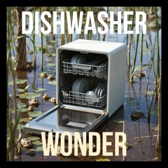Wonder