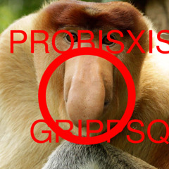 PROBIXUS