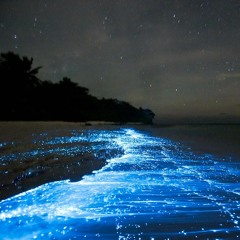 quarantined in my HOUSE