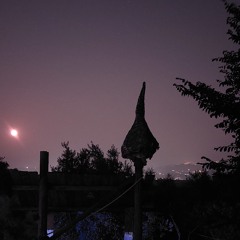 OPENING RITUAL Solar Light 2025