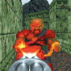 doom 1996 (birdbath cover)