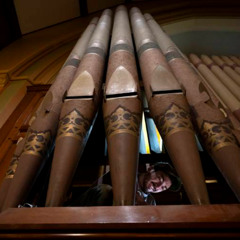 Echoes of the Sanctuary