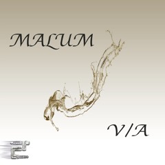 MALUM V/A [Eclectic]