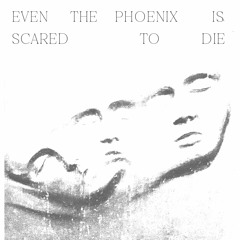 Even the phoenix is scared to die / Marta et les Coquillages, Sankt studio Berlin 23