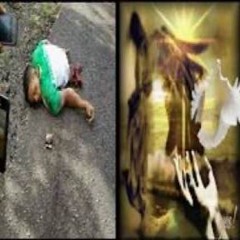 strange videos in p144 quality on an unknown korean forum prod bennov