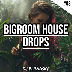 ✘ Best Bigroom House Music Mix 2022 | 10 Bigroom Drops #3 | By DJ BLENDSKY ✘