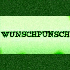 Wunschpunsch (Luigi Elettrico Polish cover, extended mix)
