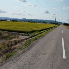 barefoot on blacktop