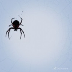 Into The Sunset And Fade