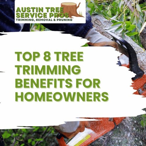 Top 8 Tree Trimming Benefits for Homeowners