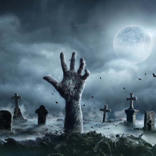 Voices from the Crypt