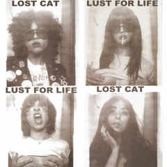 LOST CAT - "Lust For Life"