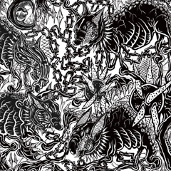 Where the wild things are