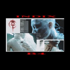 B4 - INDIX ( FREEDL )