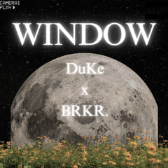 WINDOW FT.BRKR.**PROD.made by maiden!