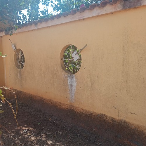 "WTF" - w/lostsilver #004.4eva