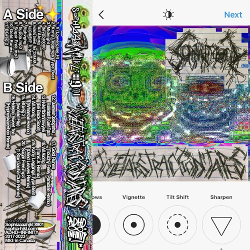Sophiaaaahjkl;8901 - Holistic Sweet Tea Ft. Bdpq (Hyphyskazerbox Remix)