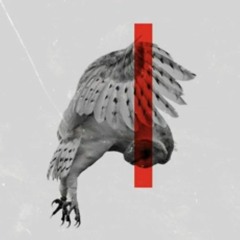 "Chain Reaction" (Prod.By Josh Petruccio)