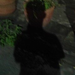 เพลงไทย