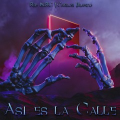 Asi Es la Calle
