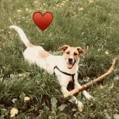 Andrea Gambardelli - CHARLY…