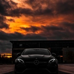 Sierra Beat Hope X Motive-Jefe Chorba B