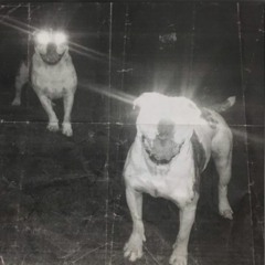 christ complex - mature materials