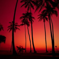 CULT MEMBER - Selling Mid in Miami (SMS001)