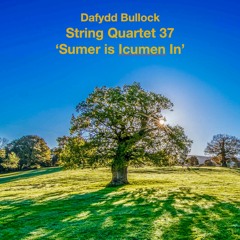 String Quartet 37 'Sumer' 3 Late Summer