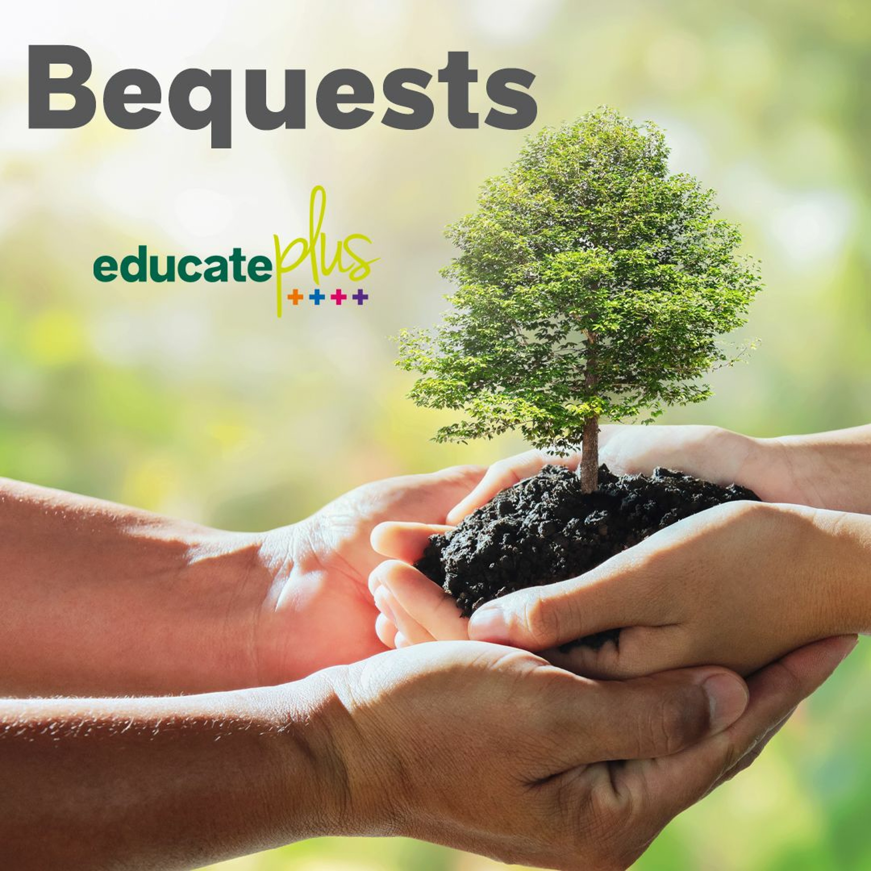 Educate Plus