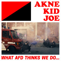 What AfD thinks we do...