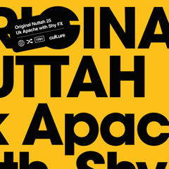 Original Nuttah 25 (feat. IRAH) (Chase & Status Remix)