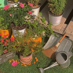 감사와 평화 (Gratitude and Peace)