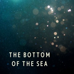 The Bottom Of The Sea